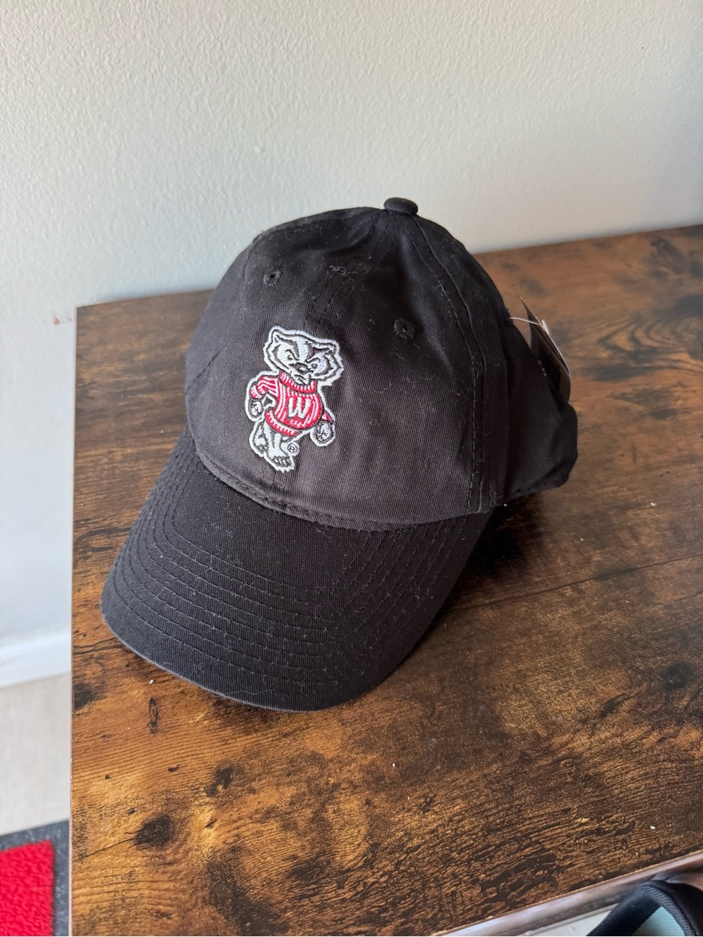 NWT Wisconsin Badgers Bucky Mascot Snapback Hat - Black